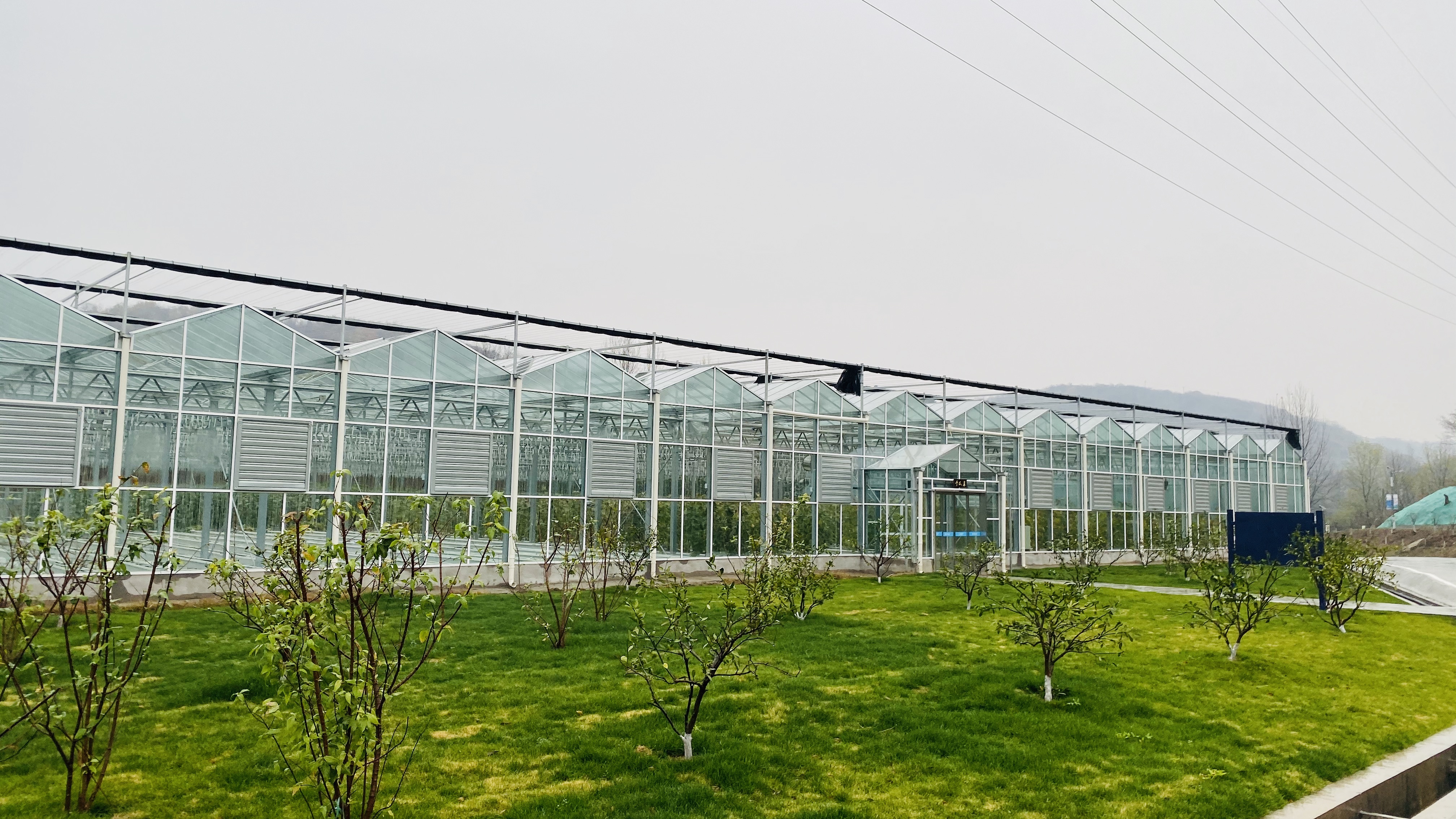 International Hemp Australia Association