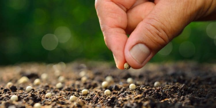 Go to Market Strategy