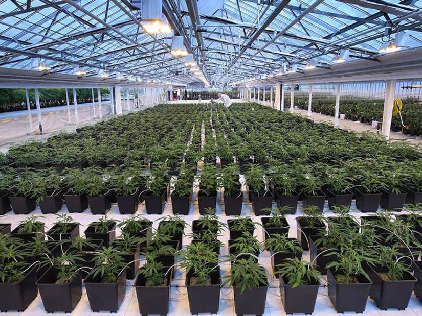 Hemp Research & Development Facility